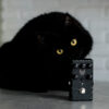 DJENTTONIC Blackout Edition Stylized with a Cats Claws DJENTTONIC