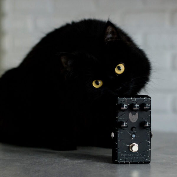 DJENTTONIC Blackout Edition Stylized with a Cats Claws DJENTTONIC